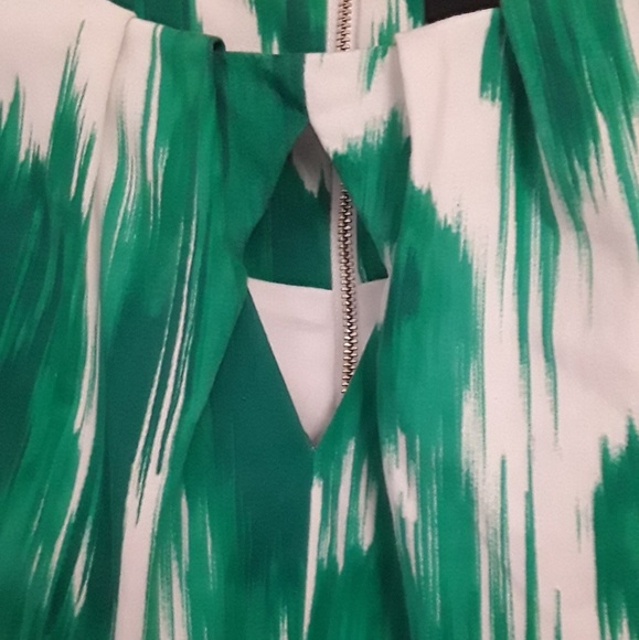 Ellen Tracy Green White stroke dress Sz 2 NWOT - Picture 5 of 8